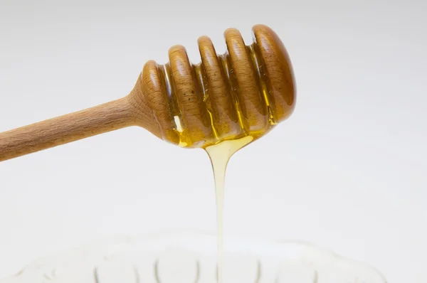 Смак меду — стокове фото