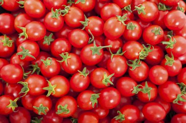 Group of fresh tomatoes clipart