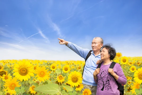 Happy senior couple standing in the sunflower garden — Stock Photo, Image