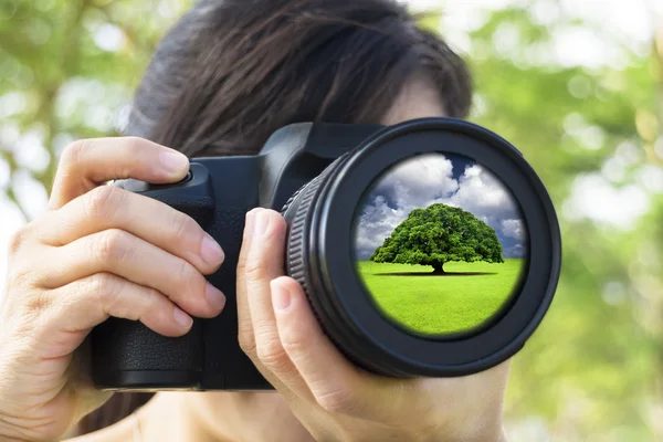 Mujer joven tomando fotos con concepto de naturaleza verde —  Fotos de Stock