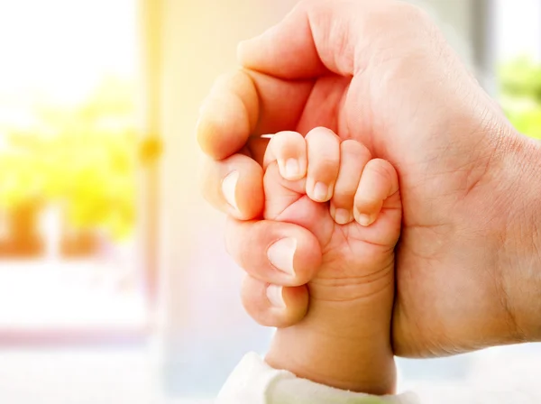 Las manos de los padres sosteniendo la mano del bebé en casa brillante —  Fotos de Stock