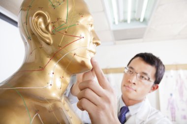 Çin tıp doktoru acupoint insan modeli öğretim