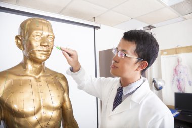 Çin tıp doktoru acupoint insan modeli öğretim
