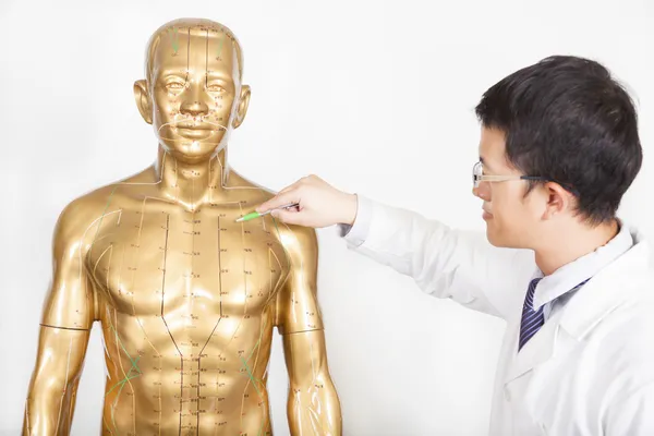 Médico chino enseña acupunto en el modelo humano — Foto de Stock