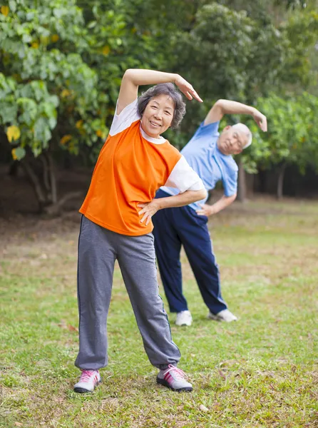 Couple de personnes âgées faisant de l'exercice dans le parc . — Photo