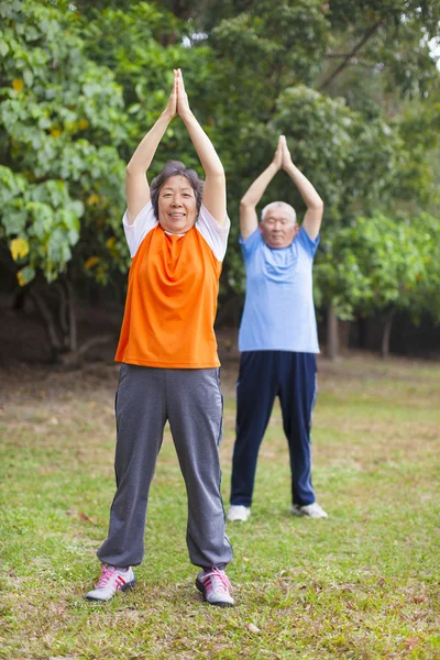 Senior couple doing exercise in the park. — Stock Photo, Image