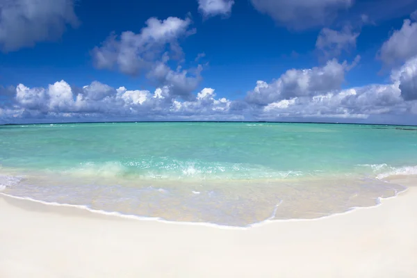 Bela praia .maldives — Fotografia de Stock