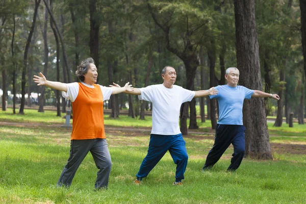 Seniors  doing gymnastics in the park — Stock Photo, Image