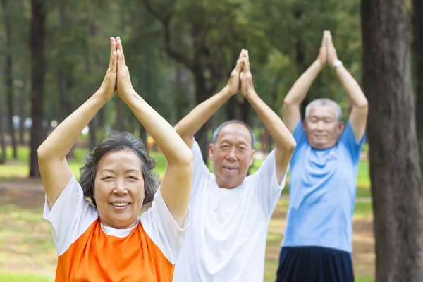 Close-up van senioren doen gymnastiek in het park — Stockfoto