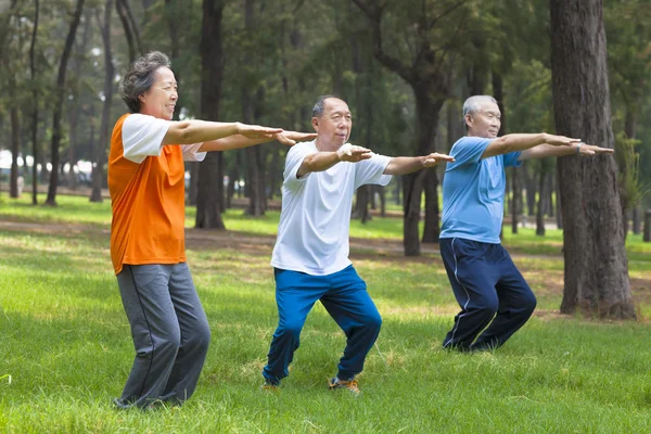 Aînés amis ou famille faisant de la gymnastique dans le parc — Photo