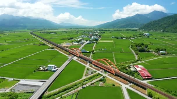 Luchtfoto Prachtige Kecheng Iron Bridge Rijstvelden Yuli Hualien Taiwan — Stockvideo