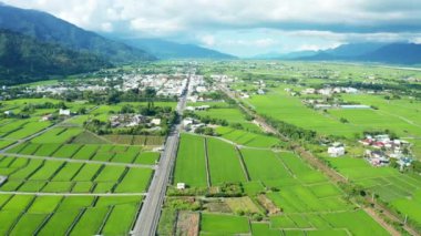 Hava manzaralı güzel pirinç tarlaları ve Tayvan, Taitung 'daki Guanshan kasabası.