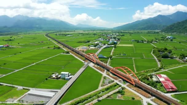 Widok Lotu Ptaka Piękny Kecheng Iron Bridge Nad Polami Ryżowymi — Wideo stockowe