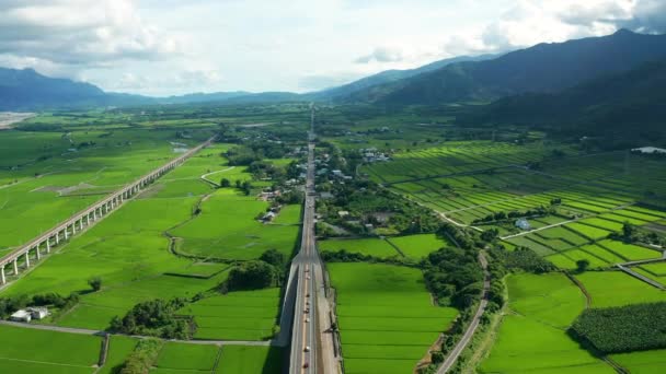 Widok Lotu Ptaka Piękne Pola Ryżowe Miasto Guanshan Taitung Tajwan — Wideo stockowe