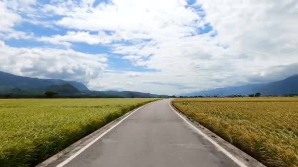 Jadąc Jesienią Drogą Pełną Dojrzałego Złotego Ryżu Paddy — Wideo stockowe