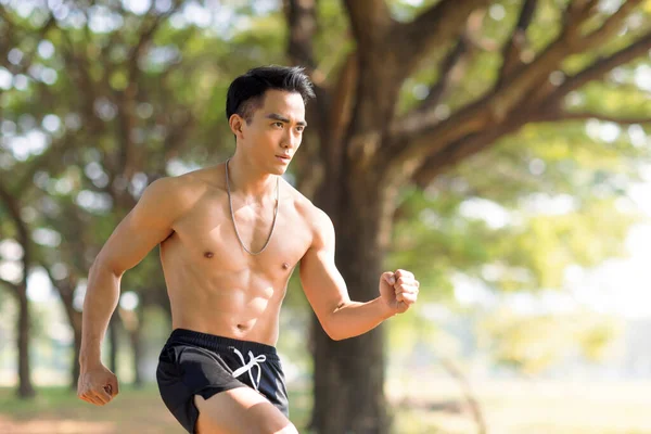 Fittness Asiatique Jeune Homme Faire Des Exercices Dans Parc — Photo