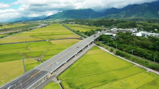 绿稻田与火车的空中景观 — 图库视频影像