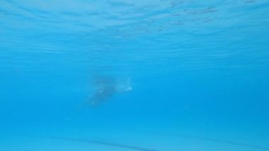 Havuzda yüzen genç bir kadın su altında poz veriyor.