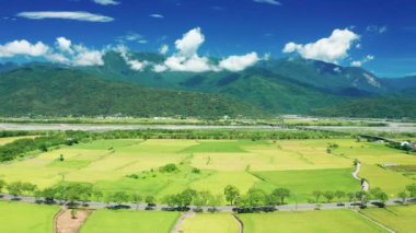 Pirinç tarlalarının ve yolun havadan görünüşü