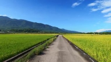  POV of driving through rice fields in Taiwan