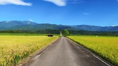  POV of driving through rice fields in Taiwan