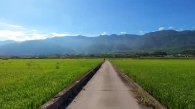  POV of driving through rice fields in Taiwan