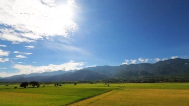 Bulutlu pirinç tarlası manzarası