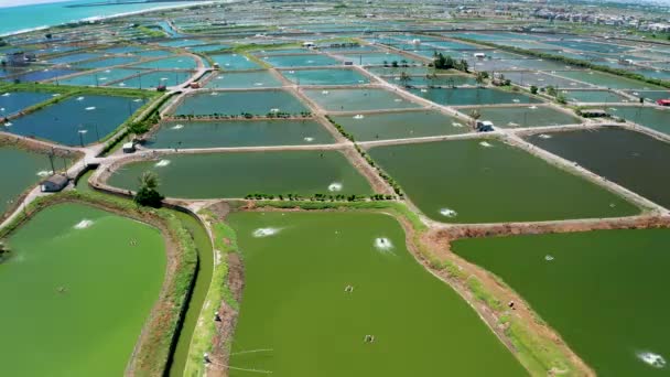 Aerial View Fish Farm Aerator Pump Taiwan — ストック動画