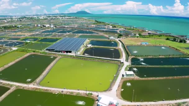 Aerial View Solar Panel Farm Fish Pond Electricity Generation — Wideo stockowe