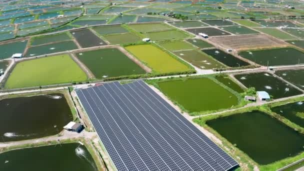 Aerial View Solar Panel Farm Fish Pond Electricity Generation — Stok video