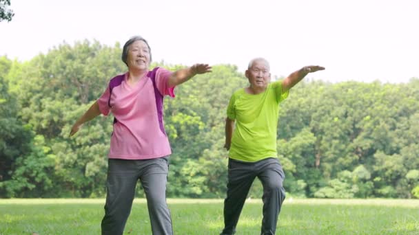Pasangan Senior Berolahraga Dan Lengan Membentang Taman — Stok Video