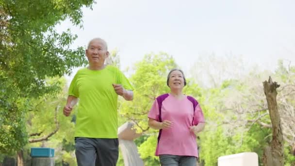 Feliz Sênior Asiático Casal Exercitando Correndo Parque — Vídeo de Stock