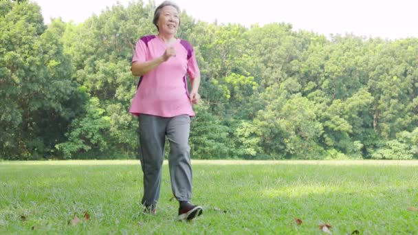 Mujer Mayor Sintiendo Dolor Rodilla Mientras Hace Ejercicio Parque — Vídeo de stock