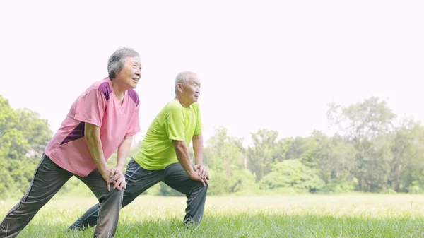 Pareja Mayor Haciendo Ejercicio Rodilla Extiende Parque —  Fotos de Stock