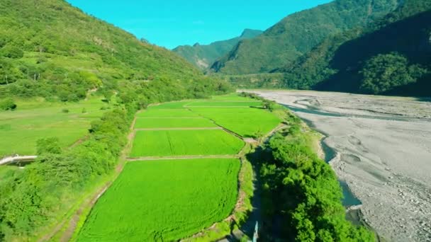 Letecký Pohled Rýžové Pole Řeku Údolí Tchaj Wan — Stock video