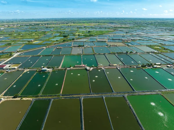 台湾のエビ養殖場の空中風景 — ストック写真