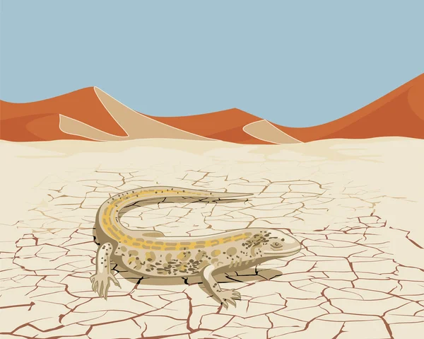 Deserto com lagarto —  Vetores de Stock