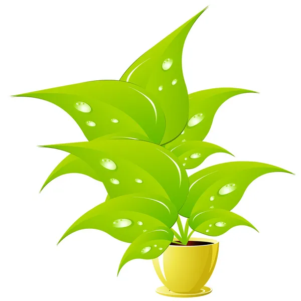 Flor verde en maceta amarilla — Vector de stock