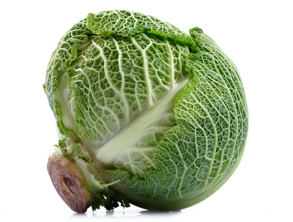 Savoy cabbage on a white background — Stock Photo, Image