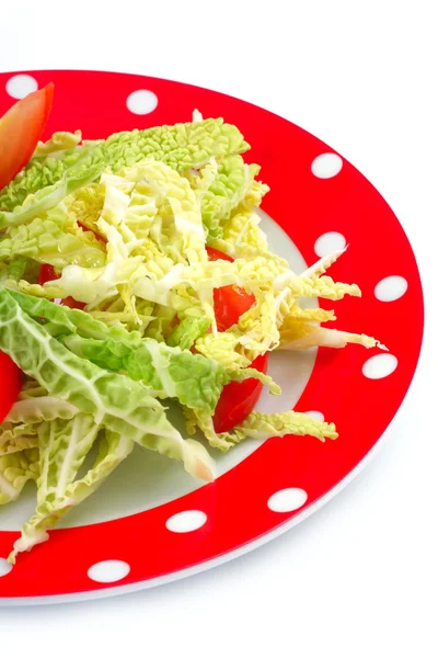 Salad savoy cabbage and tomatoes in a plate — Stock Photo, Image