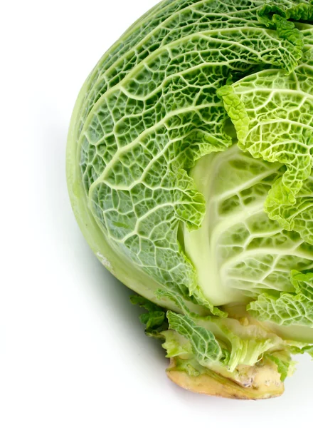 Savoy cabbage on a white background — Stock Photo, Image