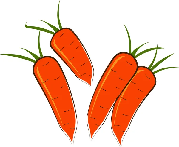 Some carrots on a white background. — Stock Vector