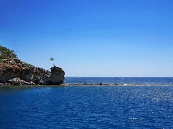 Paisaje, mar, rocas, árbol solitario . — Foto de Stock