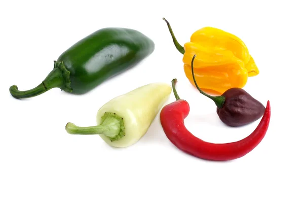 Diverse paprika's op een witte achtergrond — Stockfoto