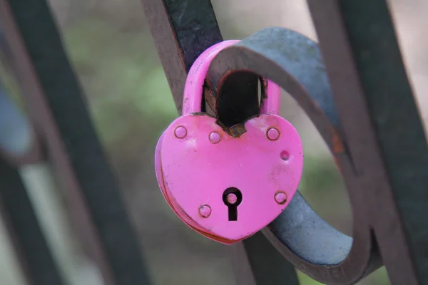 Matrimonio rosa incernierato amanti della serratura appeso sulla recinzione del ibrido — Foto Stock