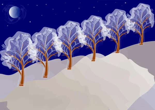 Winternachtslandschaft mit Bäumen — Stockvektor