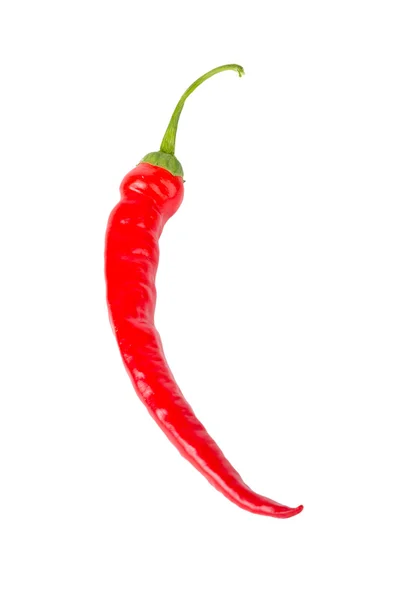 Red chili pepper — Stock Photo, Image