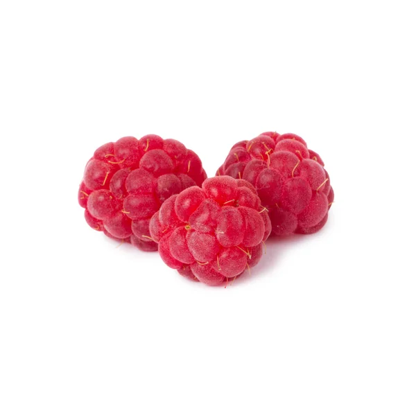 Himbeeren — Stockfoto