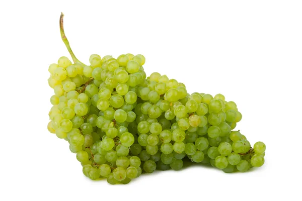 Tros groene druiven — Stockfoto