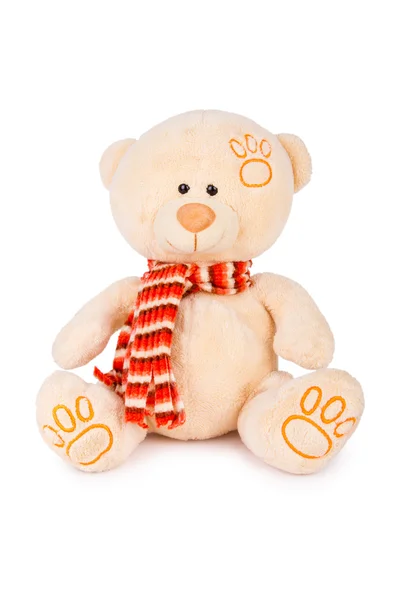 Flauschiger Teddybär — Stockfoto